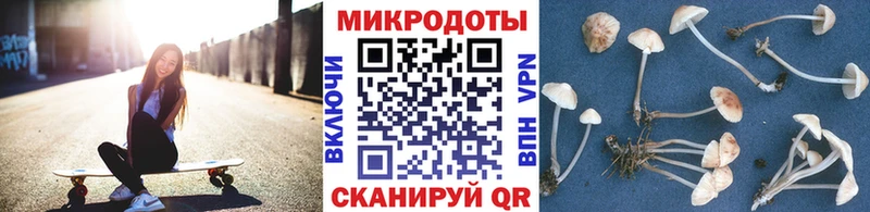 Галлюциногенные грибы мицелий  где купить наркоту  ссылка на мегу как войти  Малая Вишера 
